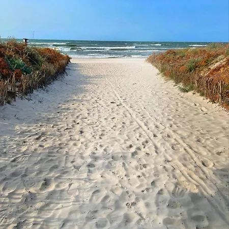 Sara Ii Séjour chez l'habitant