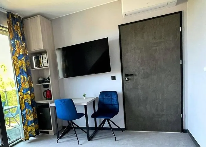 Sara Ii ホームステイ