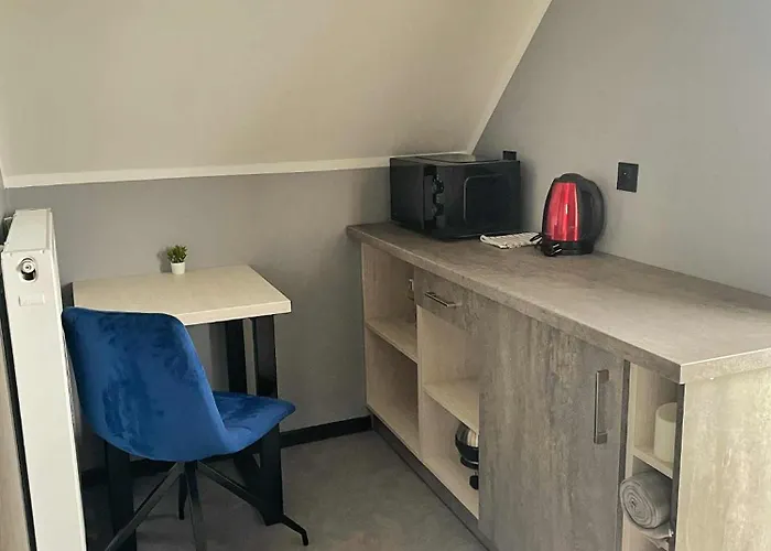 Sara Ii カルビア